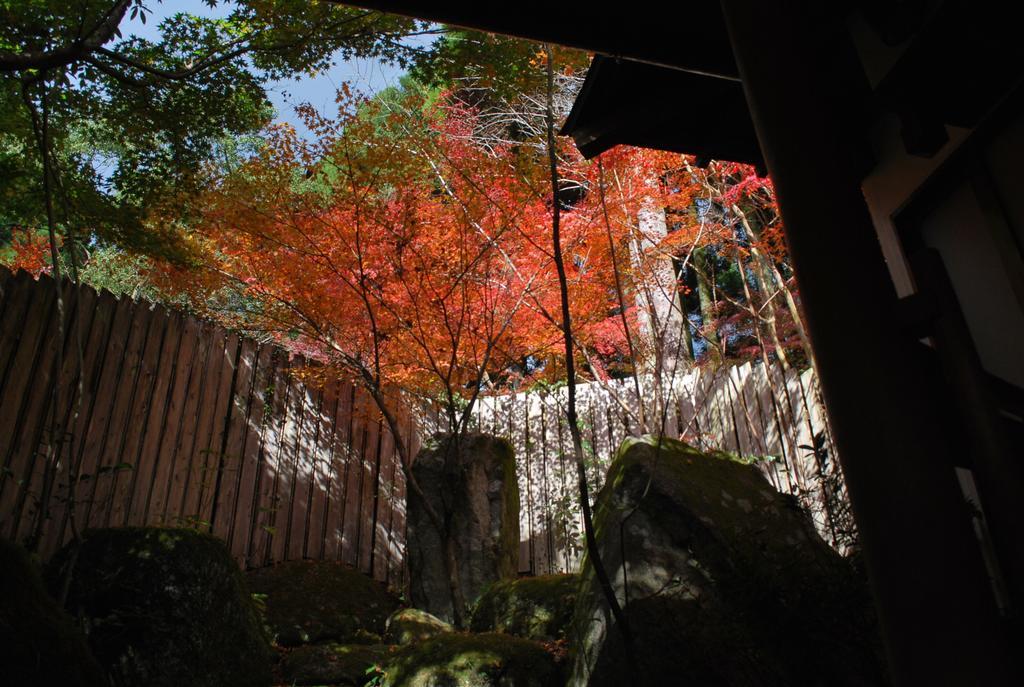 Akizuki Spa Ryokan Seiryuan Asakura  Екстериор снимка